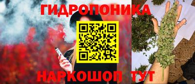 мяу мяу мука Гулькевичи