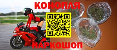 мяу мяу мука Гулькевичи