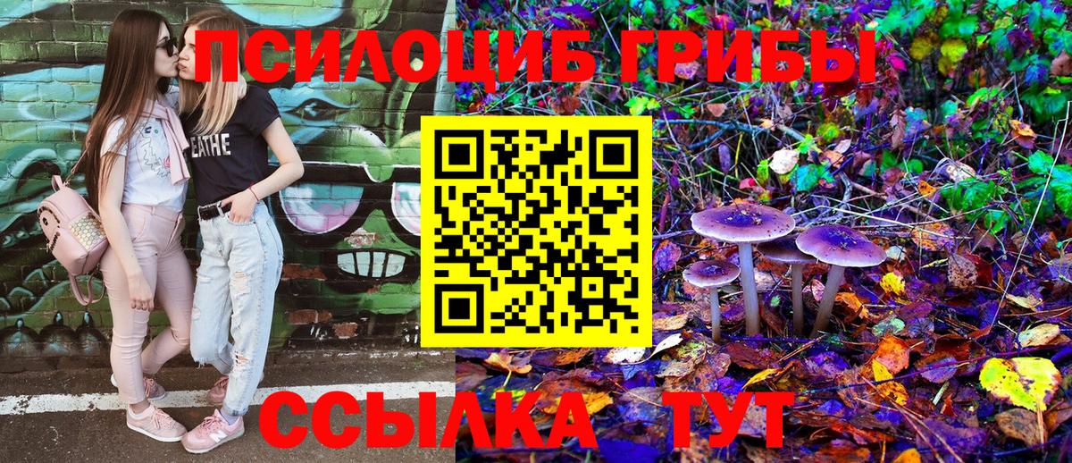 Галлюциногенные грибы Magic Shrooms Богданович