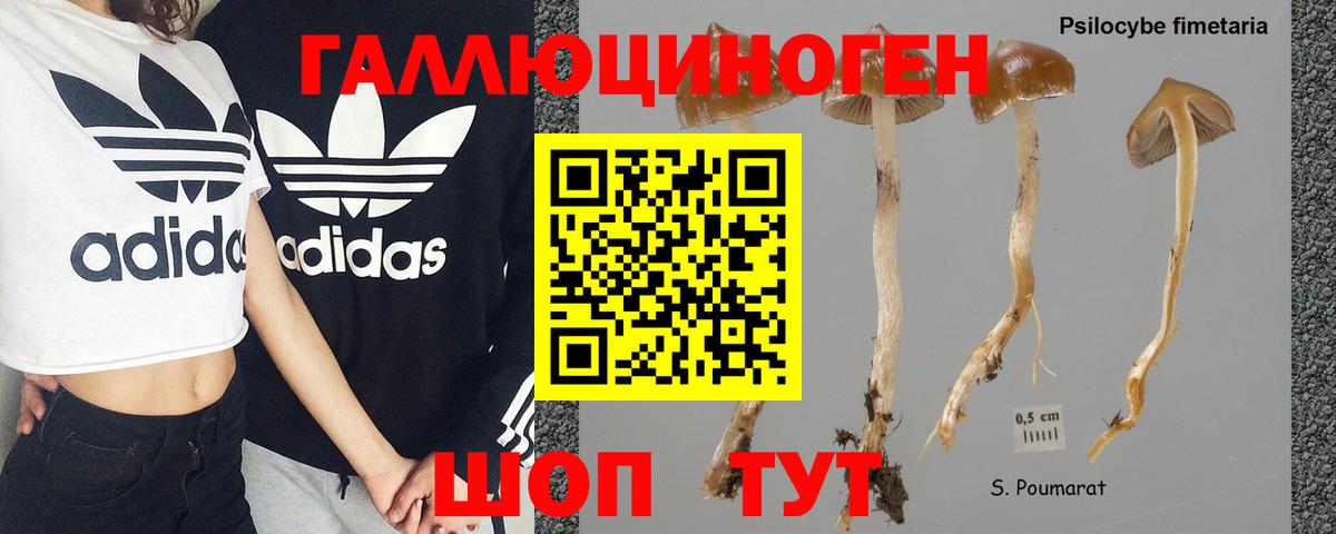 Псилоцибиновые грибы MAGIC MUSHROOMS  Вход с VPN  Богданович 